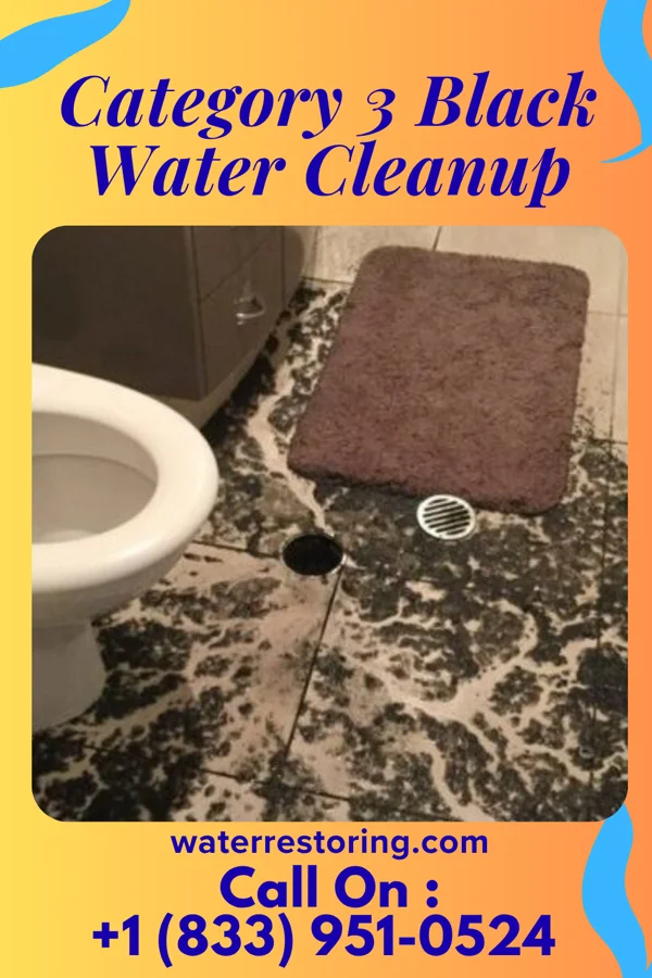 Category 3 Black Water Cleanup in Cliffdell, WA